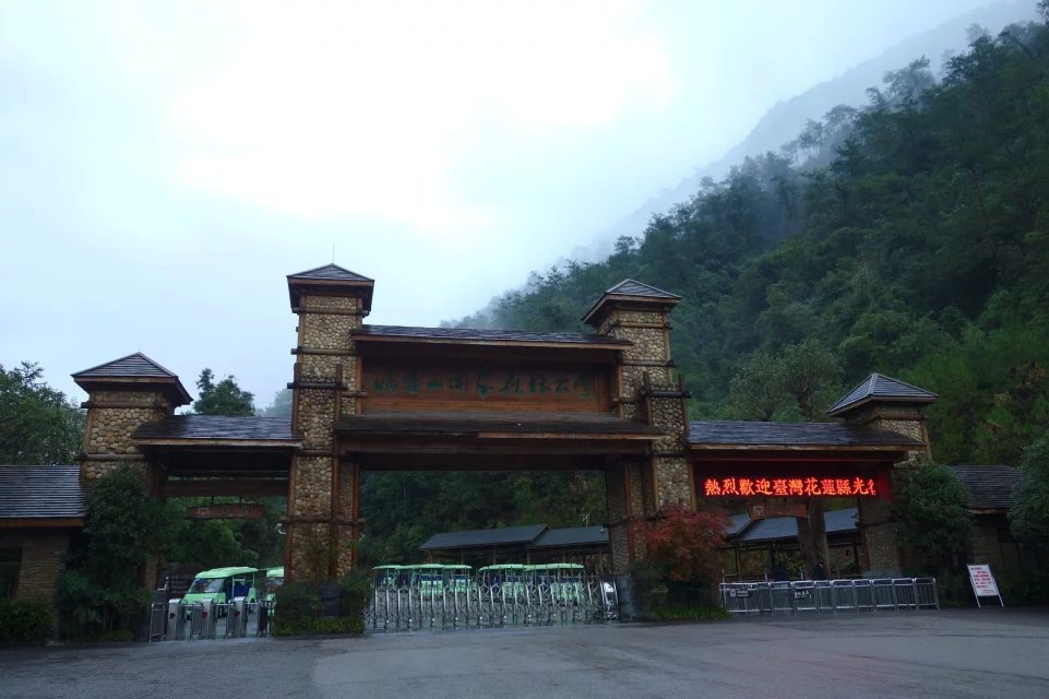 佛山影视