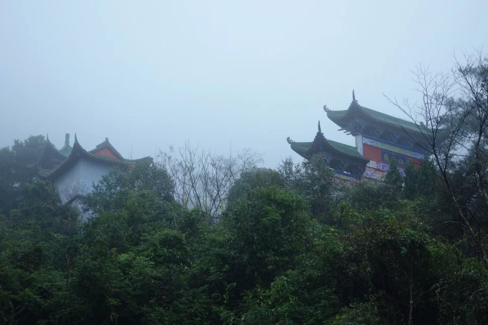佛山影视