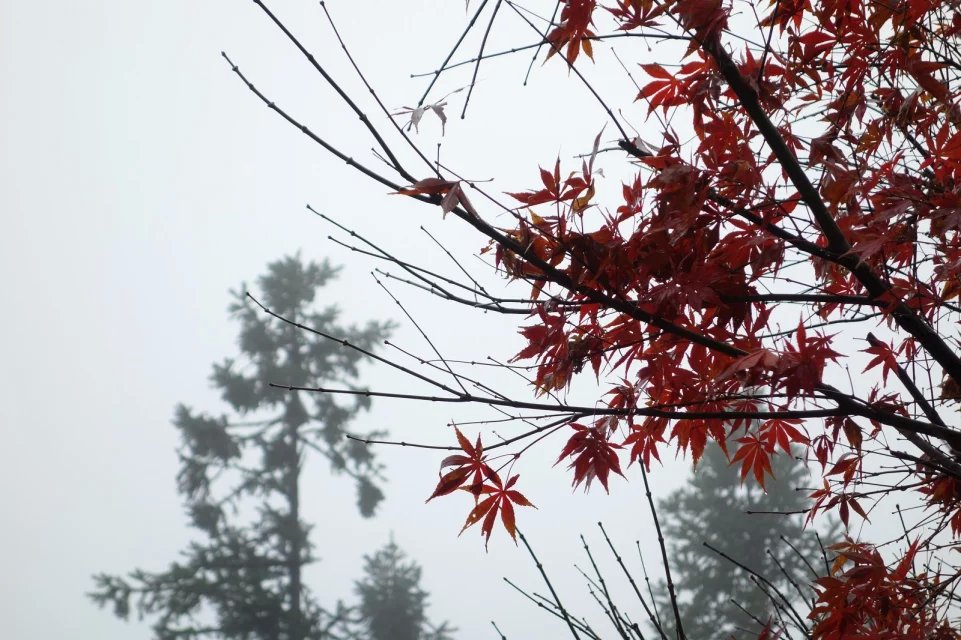 佛山影视
