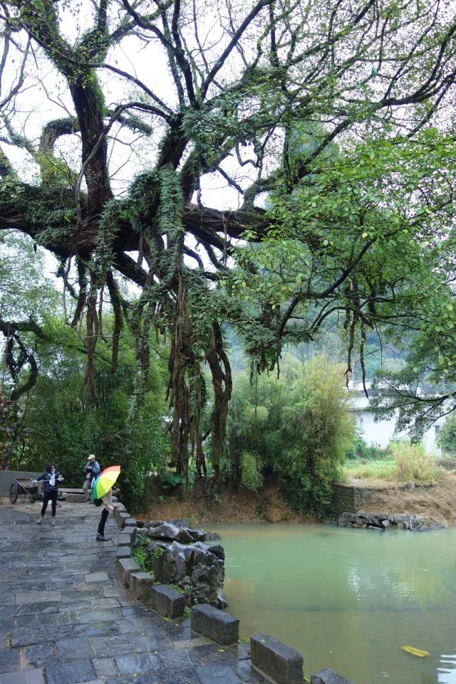 佛山影视